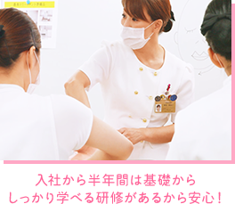 入社から半年間は基礎からしっかり学べる研修があるから安心！