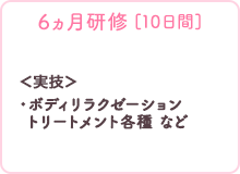 6ヵ月研修（5日間）